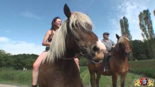 Course de Chevaux de Trait à lEcomusée dAlsace [upl. by Lika]