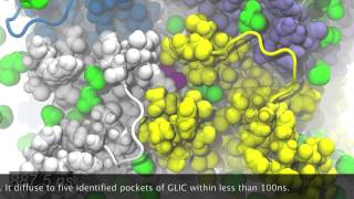 MD simulation of the Ion Channel GLIC Bromoform Binding [upl. by Mihar]