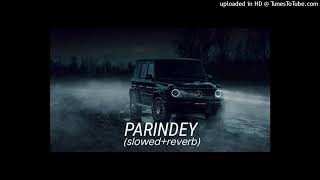 Parindey Slowed  Reverb  B Praak  Gippy Grewal  Sargun Mehta  Roopi Gill  Avvy Sra [upl. by Madai101]