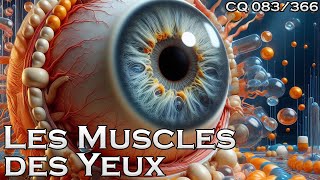 Anatomie des Muscles Oculomoteurs  CQ083 [upl. by Pachton]