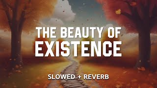 THE BEAUTY OF EXISTENCE SLOWED AND REVERB  Nasheed without Müzik  Nasheed Collection [upl. by Ainahtan]