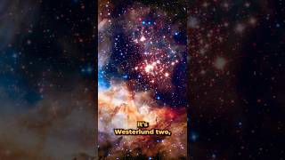 Westerlund 2 space universe astronomy science nasa hubble [upl. by Akiria287]