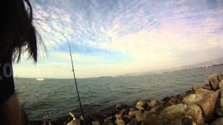 FISHING FOR ROCKFISH AT THE EMERYVILLE MARINA [upl. by Yhtak]