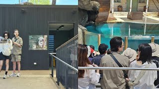 Girls Generations Sooyoung amp Jung Kyung Ho Spotted On A Date At Sydney Zoo [upl. by Ened]