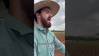 Não precisa mais que isso 😅agronomia primosagro agro viral produtorrural seuduardo agronomo [upl. by Kassey]