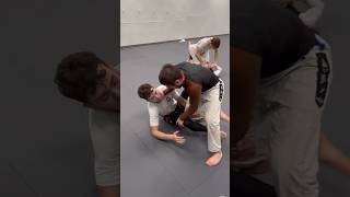 The sounds of Mendocino Porrada jiujitsu nogi mma grappling martialarts wrestling [upl. by Alicul]