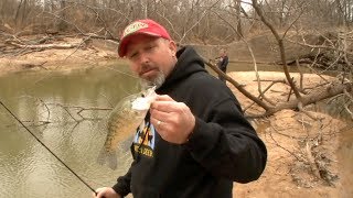 Tips on Crappie fishing from the bank [upl. by Martreb]