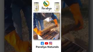 Organic Honey Making Process  मधुमक्खी का शहद कैसे बनता है Paraliya Naturals [upl. by Adnawot]