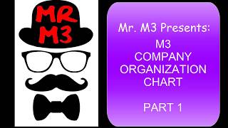 Infor M3 Organization Structure Overview Part 1 [upl. by Barabbas954]