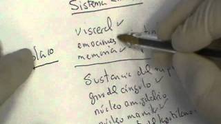 NEUROANATOMIA 20 SISTEMA LIMBICO 3 [upl. by Sidnarb]