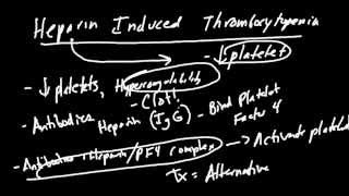 Coagulation Cascade Made Simple [upl. by Buschi]