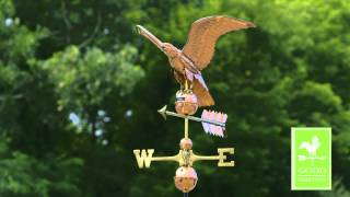 Highlights of Cute Baby Eaglets From DC’s Eagle Cam  National Geographic [upl. by Aneg661]