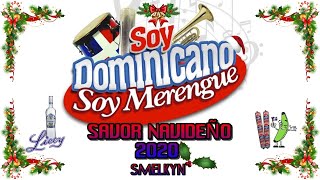 MUSICA NAVIDEÑA DOMINICANA MIX 2024💃 ♫ ★🎺 [upl. by Fancy]