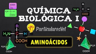 📋AMINOÁCIDOS 📌 IONIZACIÓN  PUNTO ISOELÉCTRICO 📌 Química general [upl. by Lachish]