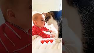 Cats love children 😍😍😍😍 catslove lovecatsforever cats loveforever [upl. by Noelyn]