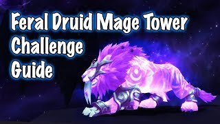 Feral Druid Mage Tower Artifact Challenge Jessiehealz [upl. by Harriott10]