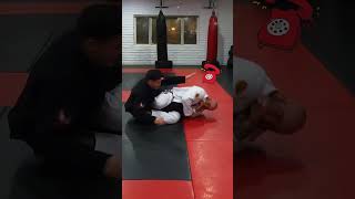 Knee Bar to Ankle Lock Transition  BJJ Flow and Weight Loss Motivation [upl. by Noman]