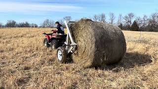 20240221 new bale for the cows it is a very warm February [upl. by Rodge]