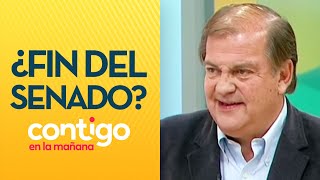 ¿FIN DEL SENADO Francisco Vidal explicó propuesta de nueva Constitución  Contigo en La Mañana [upl. by Bower]