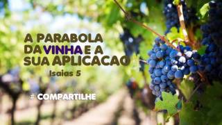 A Parábola da vinha e a sua aplicação [upl. by Huskey32]