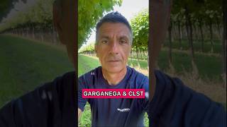 Garganega amp CLST [upl. by Felizio]