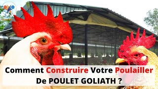 CONSTRUCTION de POULAILLER délevage de POULET GOLIATH investir au pays dans le poulet local 100 [upl. by Shimkus644]