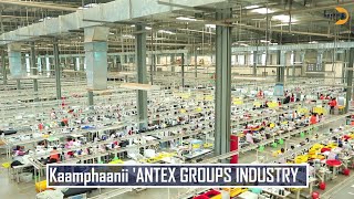 ANTEX GROUPS INDUSTRY [upl. by Januisz]