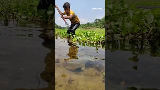 Amazing Fishing Techinques 2024 Unique Teta Fishing Challenge ♡trending shorts fishingvideo [upl. by Annaitat118]