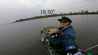 2023 OKBT Lake Simcoe Bass Tournament with Mr Daves kayak fishing [upl. by Limemann294]