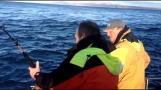 280lb Porbeagle Shark from the Pentland Firth Scotland [upl. by Ennahtur400]