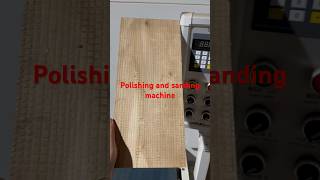 Polishing and sanding machine polishingequipment polishing woodworking [upl. by Innig]