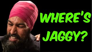 Jagmeet Singh’s Low Profile [upl. by Fadiman]