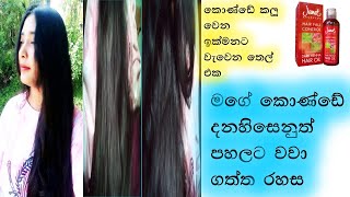 මම කොන්ඩේ ඉක්මනින් වවා ගත්තේ මේ තෙල් එක ගාලාJanet Dark Henna Oil Reviewsinhalahaircare [upl. by Hametaf]