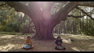 Firefly  Handpan Duet  Peter Levitov and Maxime le Royer [upl. by Casavant72]