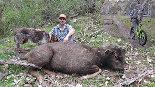 Sambar Hunting Meat Run  Backpacking Bikepacking [upl. by Orms]