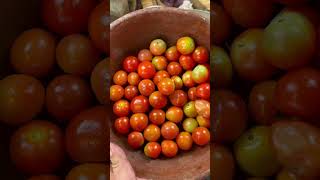 Pinakbet na bulaklak muna ulam ni Lolo pinakbet pakbet [upl. by Rosanne924]