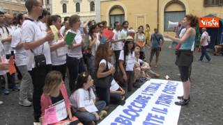 130614 MANIFESTAZIONE PRECARI PA DAVANTI MONTECITORIO 0041 [upl. by Otter]