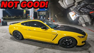 My Shelby GT350 Mustang Started Leaking Oil After Doing Hard Pulls [upl. by Lupita158]