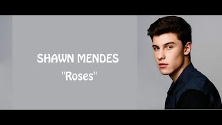 Shawn Mendes  Roses lyrics [upl. by Lody]