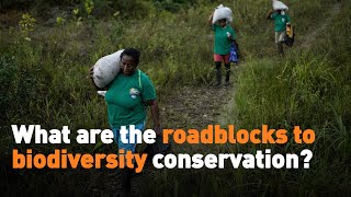 What are the roadblocks to biodiversity conservation [upl. by Liane]