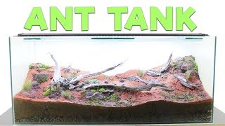 How to Build an Ant Farm  Natural Formicarium [upl. by Gagliano]