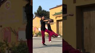 Shaolin amp Wudang Fusion  Students Training [upl. by Hyland]