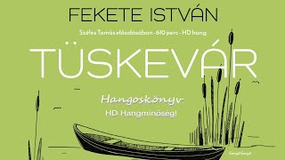 Fekete István Tüskevár Hangoskönyv  HD hangminőség  Felolvassa Széles Tamás [upl. by Mikey38]