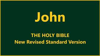 New Revised Standard Version  John [upl. by Scharff359]