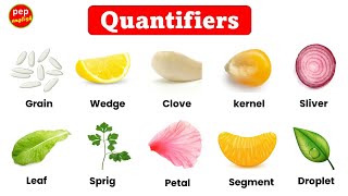 Quantifiers in English  Examples of quantifiers  Learn new English words  Quantifier words [upl. by Radke]