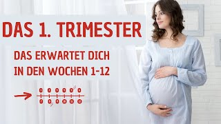 1 Trimester 🤰 Details Schwangerschaftswochen 112 [upl. by Niamart]