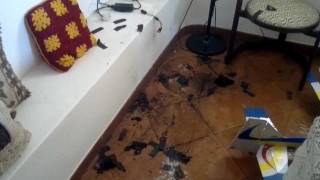 Turnigy LiPo Battery Explosion and Fire in my House [upl. by Riha]