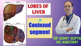 LOBES OF LIVER amp Couinaud segment [upl. by Anits]