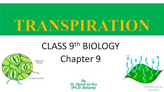 Transpiration II Movement of water in plants II Factors affecting transpiration II Class 9th Biology [upl. by Eicam]