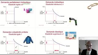 Comprendre les élasticités le cas de lélasticitéprix de la demande ECONOMIE [upl. by O'Gowan731]